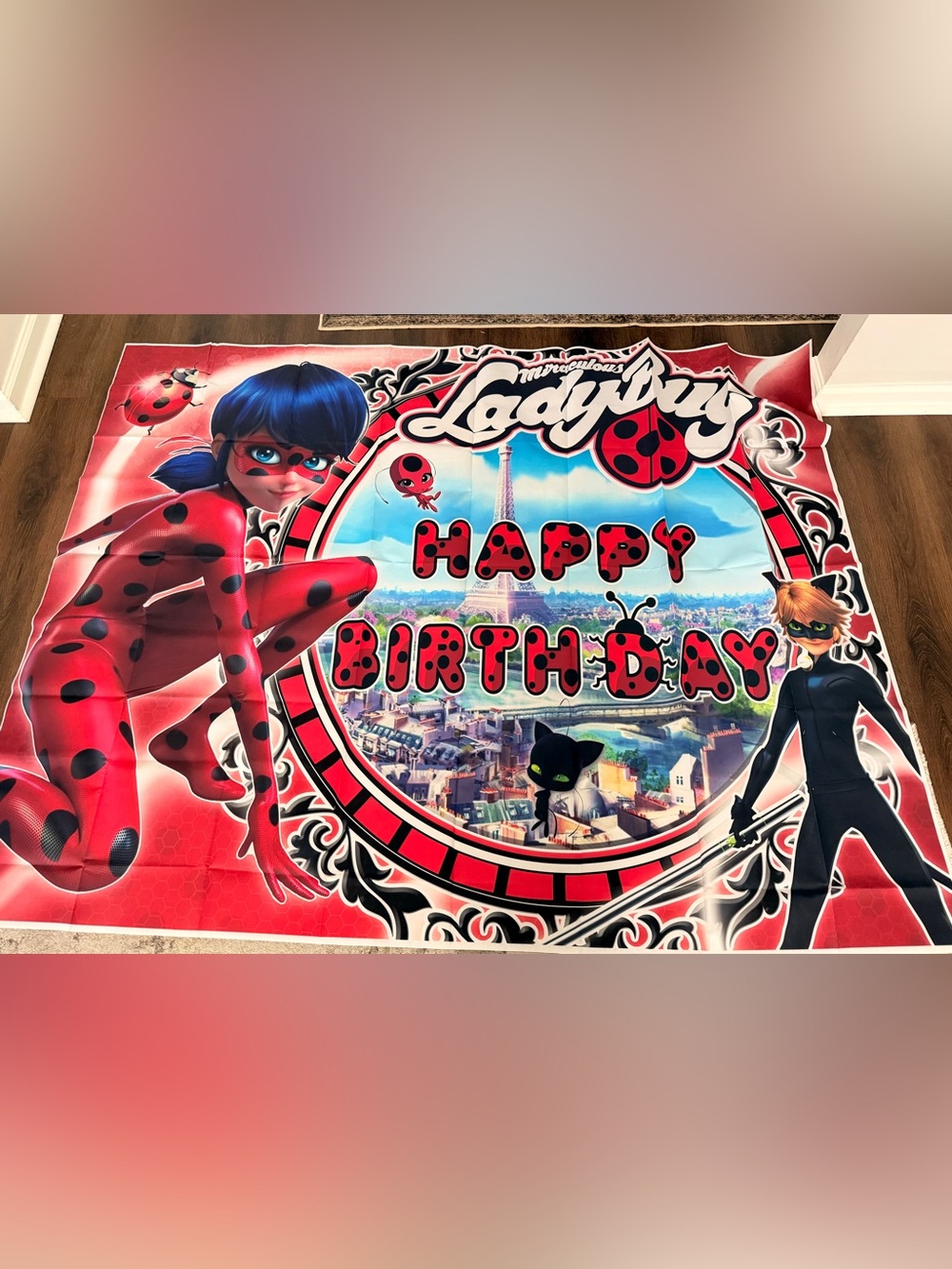 Ladybug Red & Black Birthday Backdrop